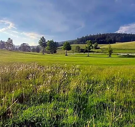Lafette Hinterzarten